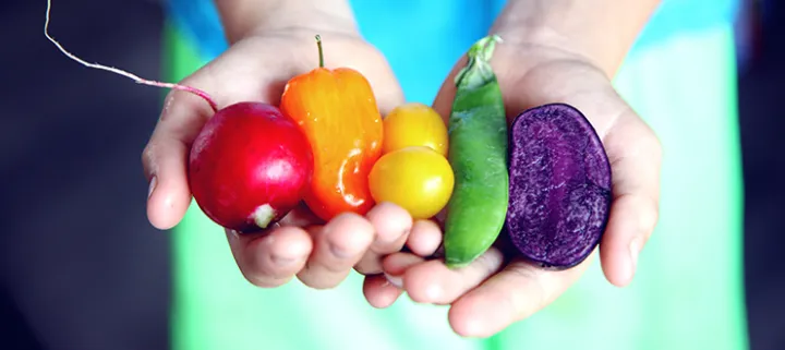 Plant-based diets: Tips from a dietitian