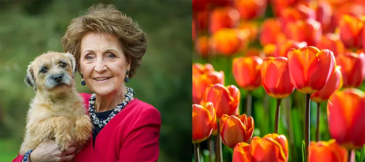 Watch: Princess Margriet of the Netherlands sent us this lovely video message for the Civic’s 100th anniversary