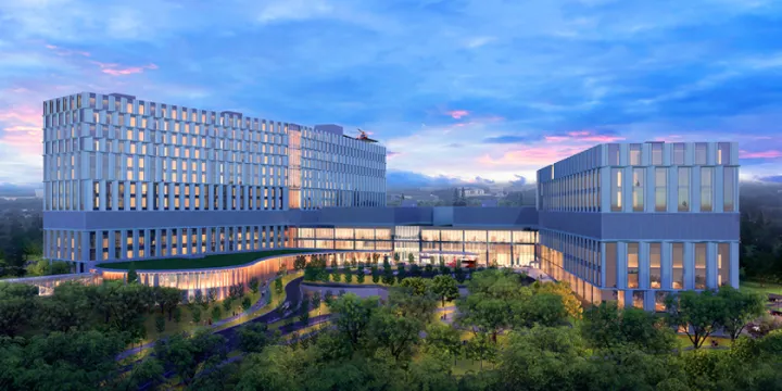 Growing health: how a green roof improves wellness, sustainability and planetary health