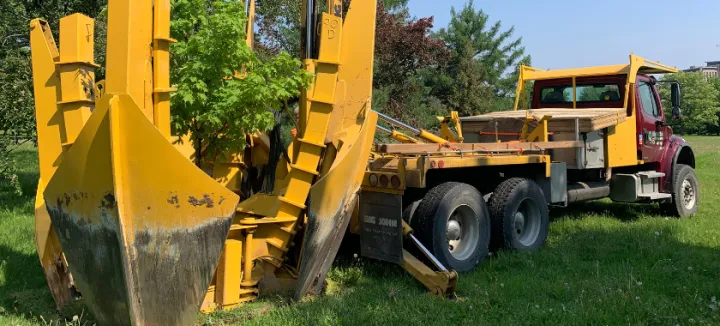 Déplacement d’arbres au nouveau campus