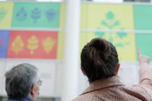 A land acknowledgement that honours the land and the medicines it provides