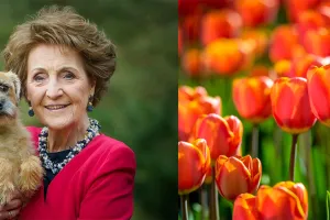 Watch: Princess Margriet of the Netherlands sent us this lovely video message for the Civic’s 100th anniversary