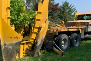 Tree relocation at the New Campus Development