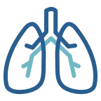 Icon Lungs
