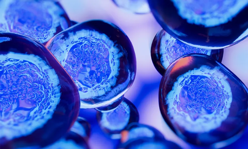 Une illustration en gros plan de cellules humaines bleues flottant sur un fond bleu et rose flou montre en détail les membranes cellulaires et les noyaux. L’illustration représente la science biomédicale. 