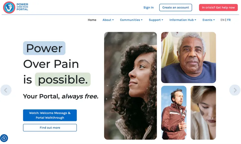 A screenshot of the homepage of the Power Over Pain Portal.